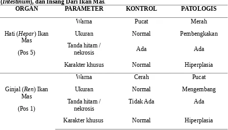 Tabel 1. Hasil Pengamatan Histopatologi Pada Organ Ginjal (Ren), Hati (Hepar), Usus