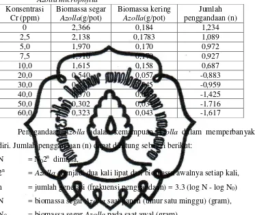 Tabel 4.2 Pengaruh konsentrasi Cr dalam medium pertumbuhan yoshida    terhadap biomassa segar, biomassa kering dan jumlah penggandaan Azolla microphylla  