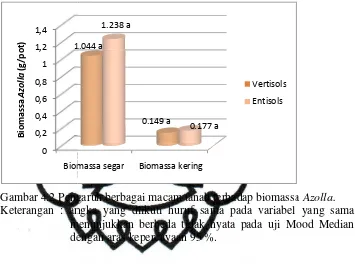 Gambar 4.2 Pengngaruh berbagai macam tanah terhadap biomassa