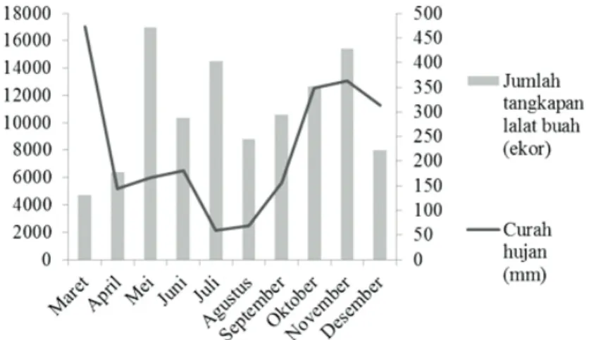Gambar 4. Grafik curah hujan dengan jumlah tangkapan lalat buah secara keseluruhan bulan Maret 2016 hingga bulan Desember 2016