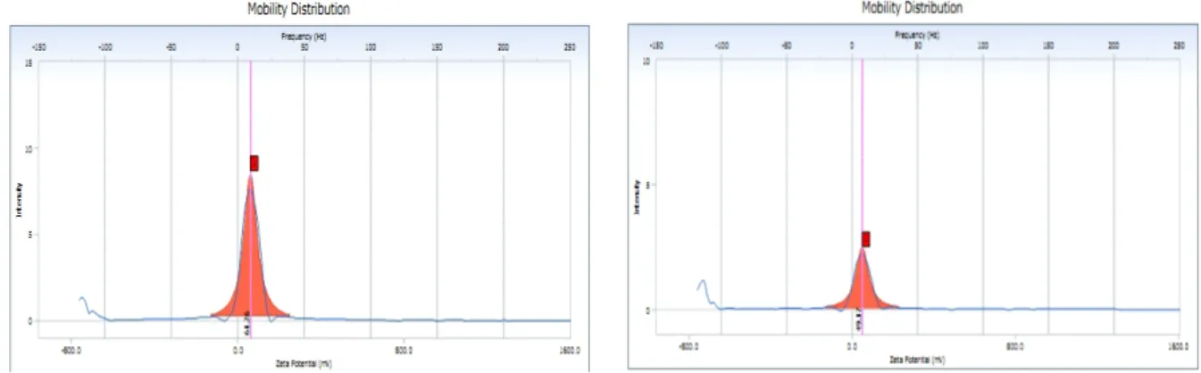 Gambar 2. Hasil pengukuran zeta potensial formula P dan R