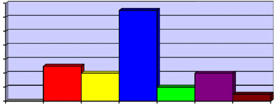 Gambar 4.5Histogram Tingkat Kebugaran jasmani 