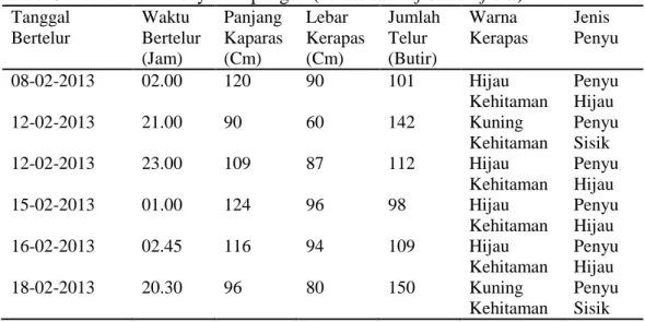 Tabel 3. Identifikasi Penyu dilapangan (Turtle identification field)