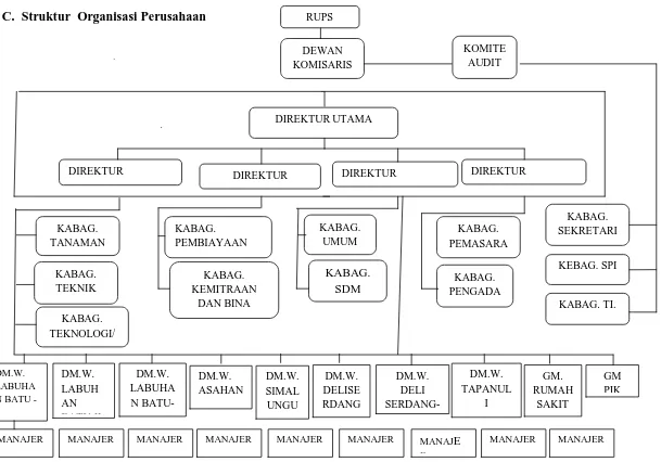 Gambar 2.1 Struktur organisasi Organisasi Perusahaan PTPN III 