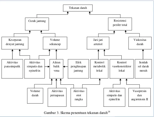 Gambar 3. Skema penentuan tekanan darah18 