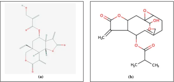 Gambar 4. Struktur senyawa vernodalin (a) dan vernomigdin (b). 