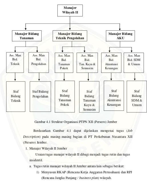 Gambar 4.1 Struktur Organisasi PTPN XII (Persero) Jember 