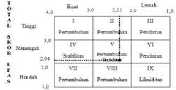 Tabel 8. Analisis Skor IFAS dan EFAS Home In-