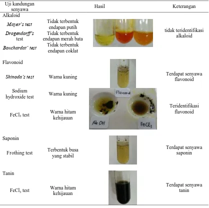 Tabel 1 Hasil uji fitokimia ekstrak etanol daun jarak tintir (Jatropha multifida L.) 