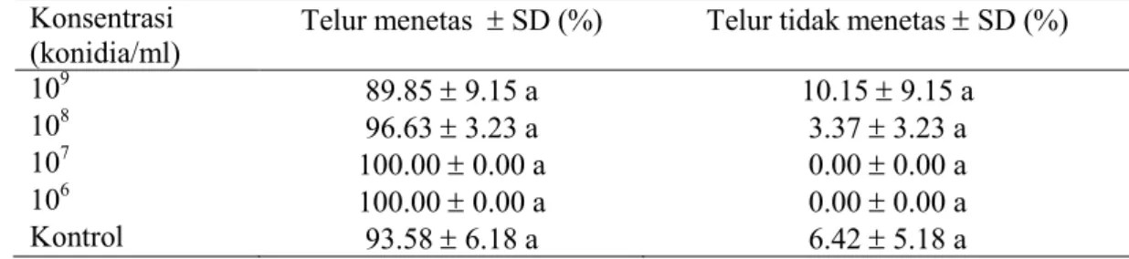 Tabel 1.  Rata-rata persentase telur S. exigua menetas dan tidak menetas setelah  aplikasi berbagai konsentrasi konidia N