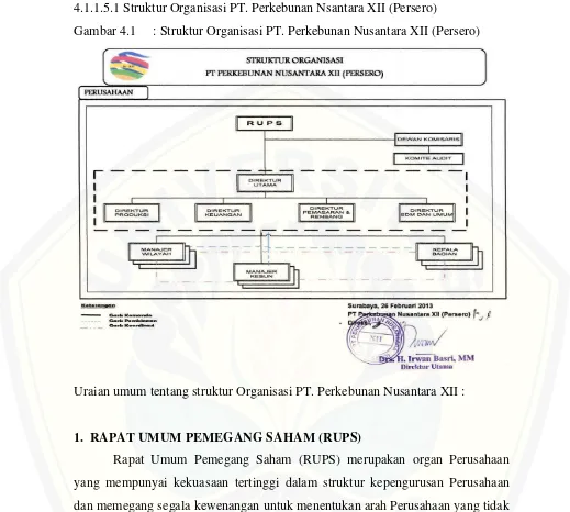 Gambar 4.1 : Struktur Organisasi PT. Perkebunan Nusantara XII (Persero)  