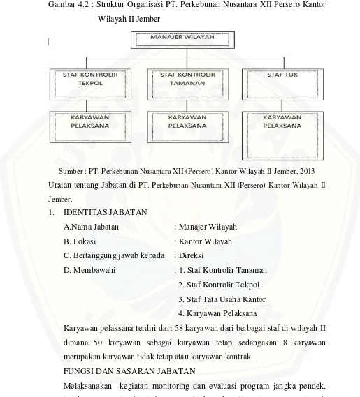 Gambar 4.2 : Struktur Organisasi PT. Perkebunan Nusantara XII Persero Kantor 