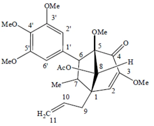 Gambar 2.  1-allyl-3,5-dimethoxy-7-methyl-oxo-6-(3,4,5-trimethoxyphenyl) bicyclo [3,2,1]oct-2-en-8-yl acetate 