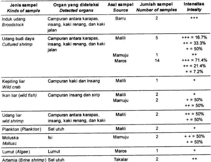 Table  2.  tntesity  of  WSSV  in  each  sample detected  by  PCR  method
