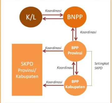 Gambar 5 Hubungan Koordinasi BNPP, K/L, dan BPPD 