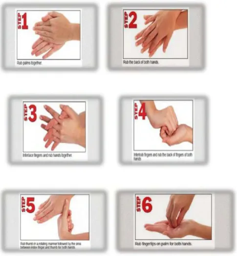 Gambar 2.2 Langkah – langkah cuci tangan menurut WHO (2009) 