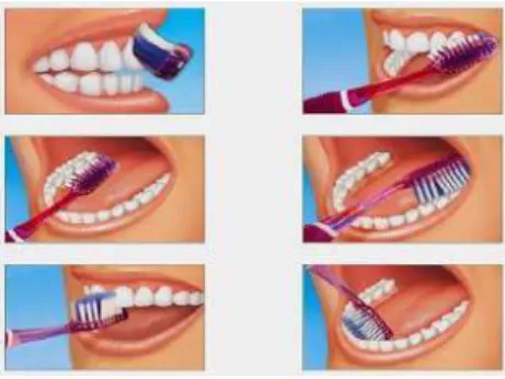 Gambar 2.3 Langkah – langkah gosok gigi (www.kemkes.go.id)  2.4.6 Hal Yang Perlu Diperhatikan Dalam Menggosok Gigi 