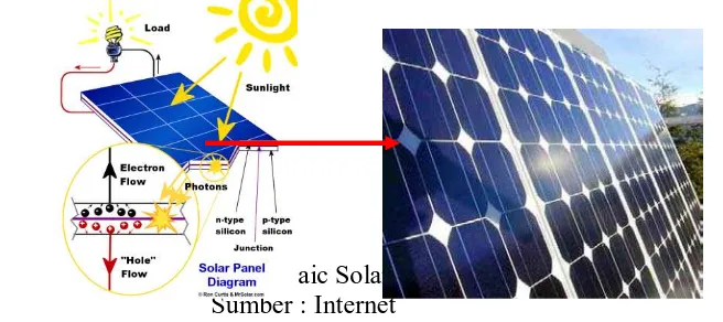 Gambar 3.2. Roof Garden System  Sumber: Internet  