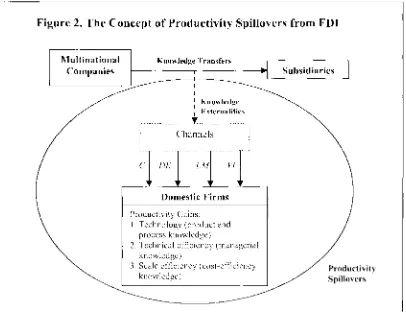 Figure 2. The Concept of Productivity Spillovers from FDI 