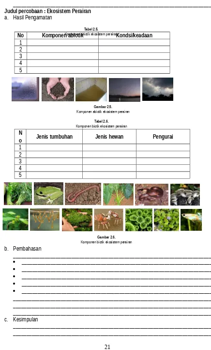 Tabel 2.6.Komponen biotik ekosistem perairan