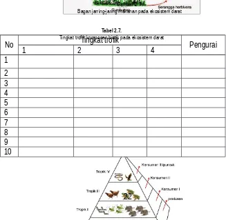 Gambar 2.7.Bagan jarring-jaring makanan pada ekosistem darat