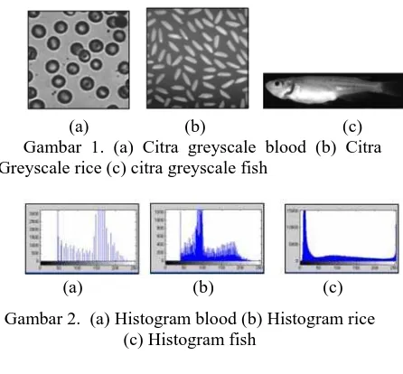 Gambar 2.  (a) Histogram blood (b) Histogram rice (c) Histogram fish 