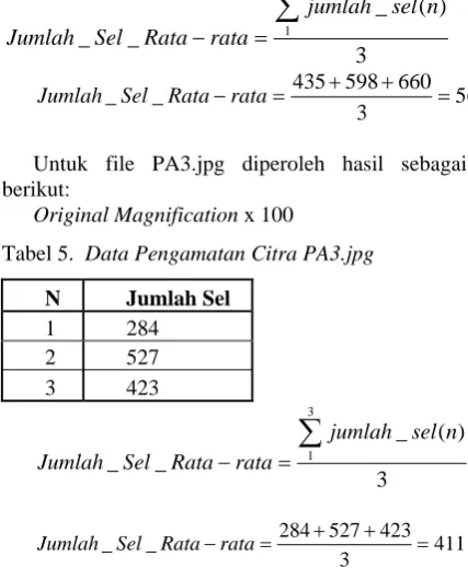 Tabel 5.  Data Pengamatan Citra PA3.jpg 
