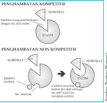 Gambar 2.3 Hubungan enzim dan substrat