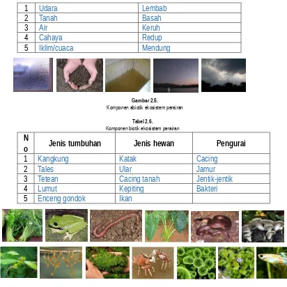 Gambar 2.5.Komponen abiotik ekosistem perairan
