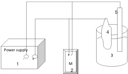 Gambar 1. Skema rangkaian proses elektrolisis 