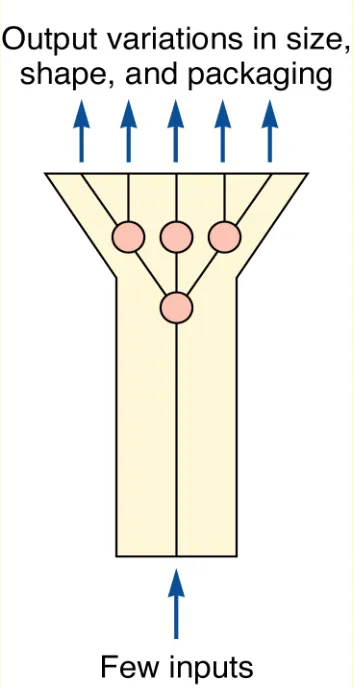 Figure 5 CFigure 5 C
