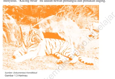 gambar, dan maskot dalam olahraga.