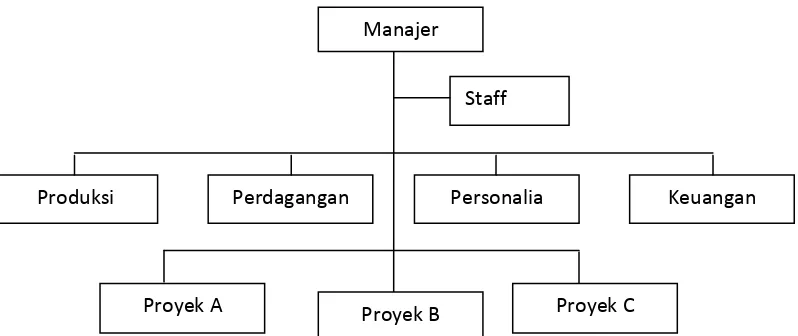 Gambar 3.5 Struktur Organisasi Bentuk Fungsional dan Staf 