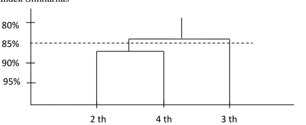 Gambar  21.  Dendrogram  indeks  similaritas  Bray-Curtis  semut  arboreal  pada  ketiga  umur  tanaman sawit  2 th  4 th  3 th 90% 80% Indek Similaritas 85% 95% 