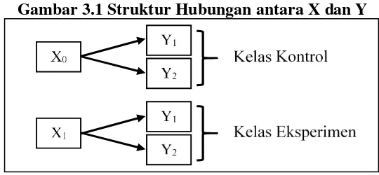 Gambar 3.1 Struktur Hubungan antara X dan Y 