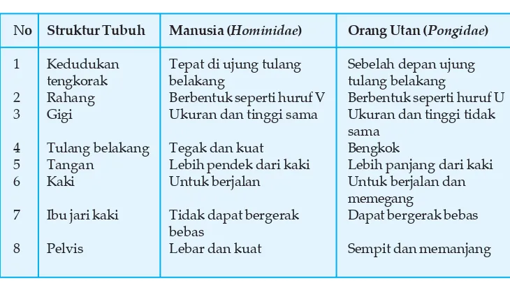 Tabel 7.1Perbedaan Antara Manusia (Hominidae)