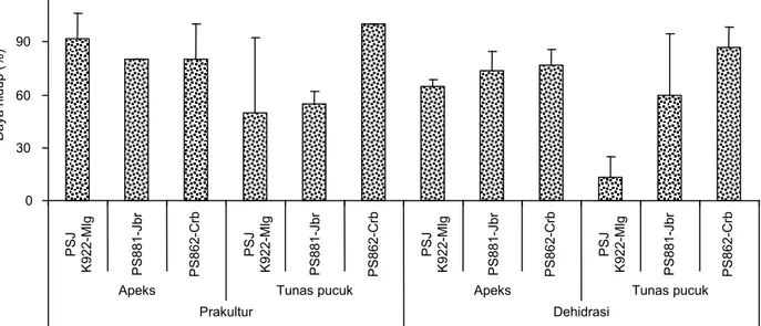 Gambar 2.  Daya hidup eksplan apeks dan tunas pucuk tiga varietas tebu pasca-prakultur dan dehidrasi pada 4 MST