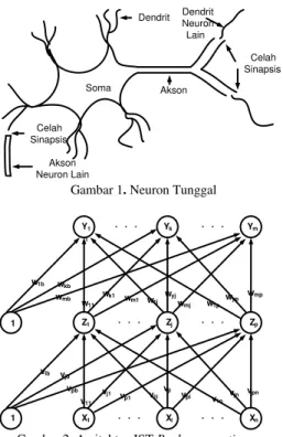 Gambar 1. Neuron Tunggal 