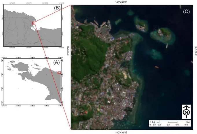 Gambar 1. Peta lokasi penelitian; (a) Pulau Papua, (b) Kota Jayapura, dan (c) sebagian perairan  Teluk Humbolt