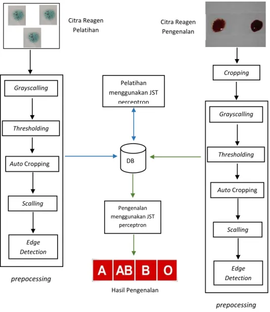 Tabel 1  Citra Pengenalan  A  B  AB  O DB Pelatihan menggunakan JST perceptron Pengenalan menggunakan JST perceptron Hasil Pengenalan Citra Reagen Pelatihan Thresholding Grayscalling Auto Cropping Scalling Edge Detection prepocessing Citra Reagen Pengenala