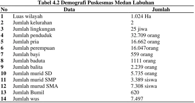Tabel 4.2 Demografi Puskesmas Medan Labuhan 