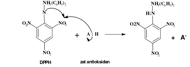 Gambar 2. Reaksi antara radikal  DPPH dengan H radikal dari antioksidan 