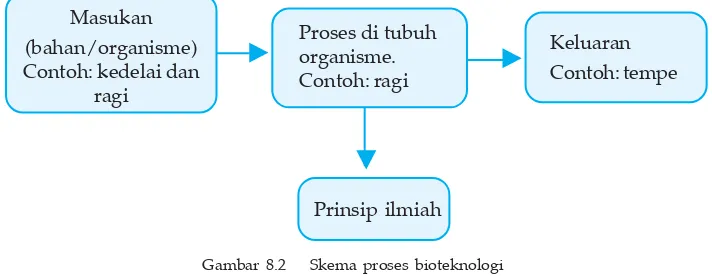 Gambar 8.2    Skema proses bioteknologi