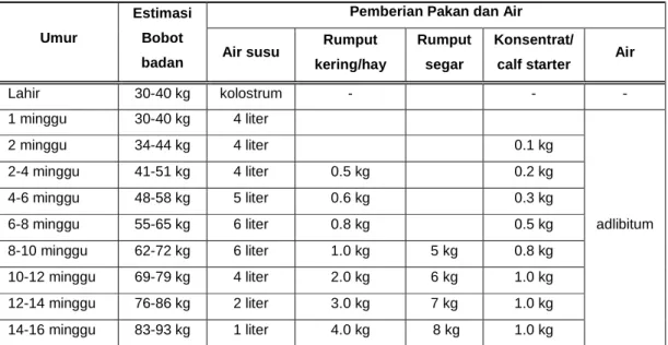 Tabel 3. Pemberian Pakan untuk Pedet 
