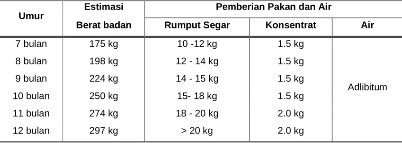 Gambar  4.  Sapi Pedet Hasil Transfer Embrio 
