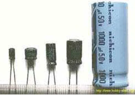 Gambar 2.6. Electroltic Capasitor (ELCO) 