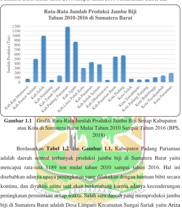 Grafik rata-rata  jumlah  produksi  jambu biji  setiap  kabupaten atau kota di  Sumatera Barat mulai tahun 2010 sampai tahun 2016 berdasarkan Tabel 1.2