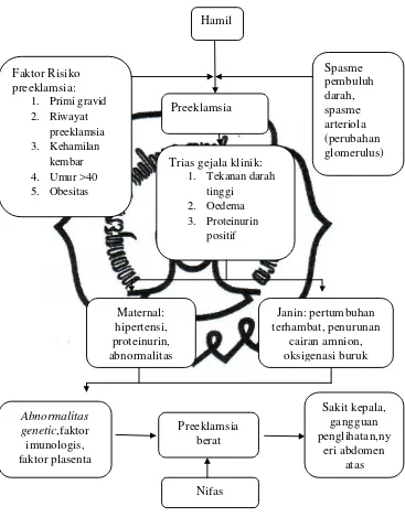 Gambar 2.1.Bagan Patofisiologi Preeklamsia Berat