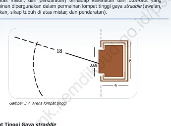 Gambar 3.8  Lomba tinggi gaya straddle