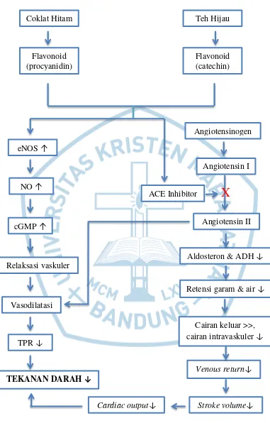 Gambar 1.1  Bagan Kerangka Pemikiran (Corti et al., 2009; Persson et al., 2011) 